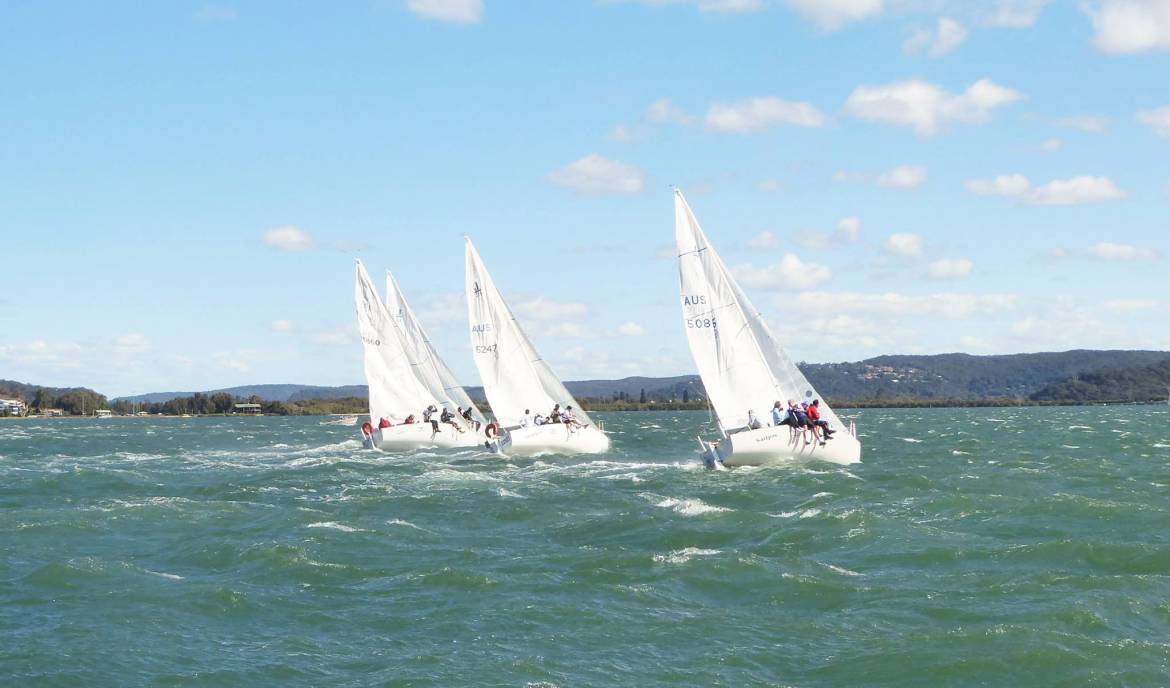 Gosford-Regatta.jpg
